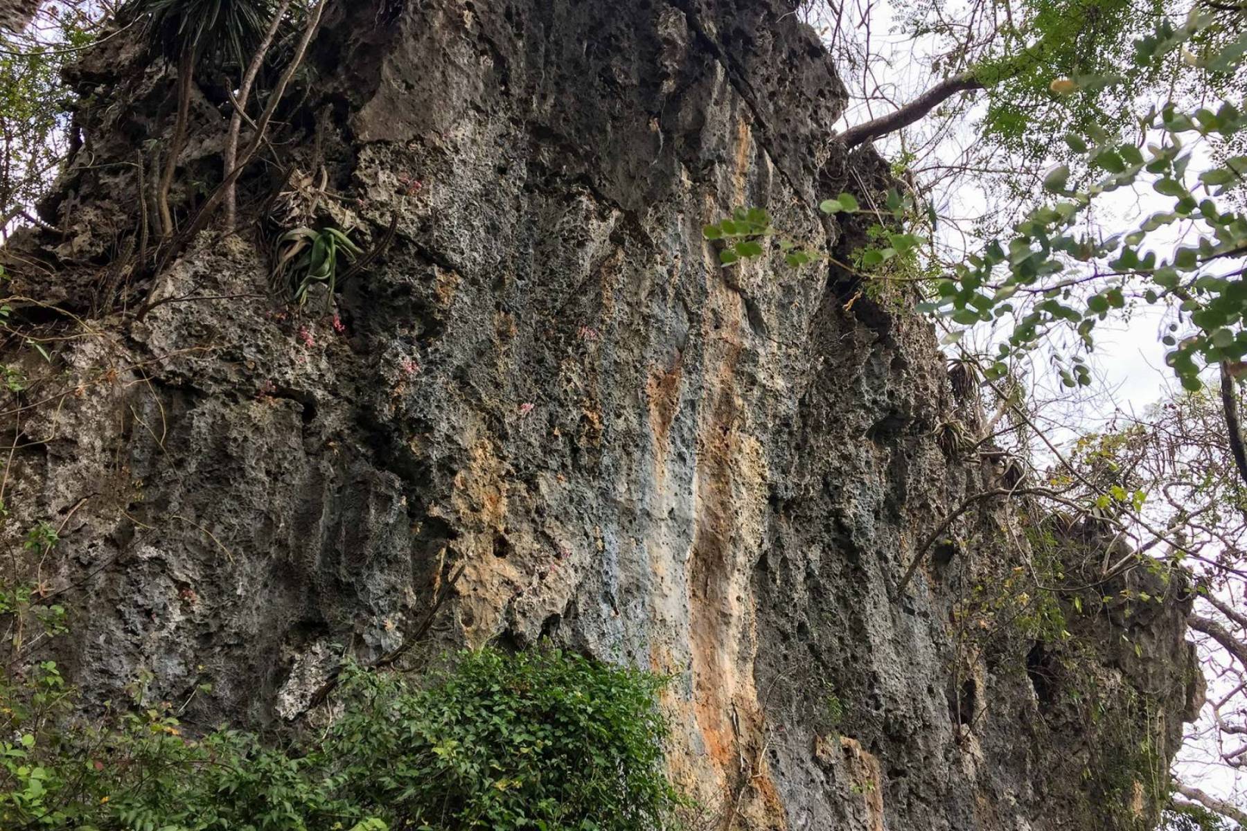 Réserve de la Montagne des Français