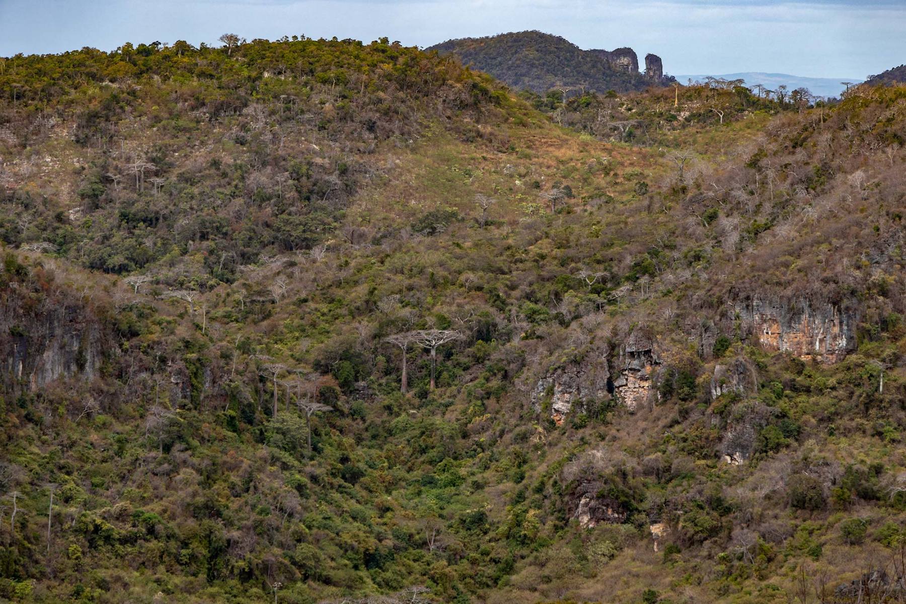 Réserve de la Montagne des Français