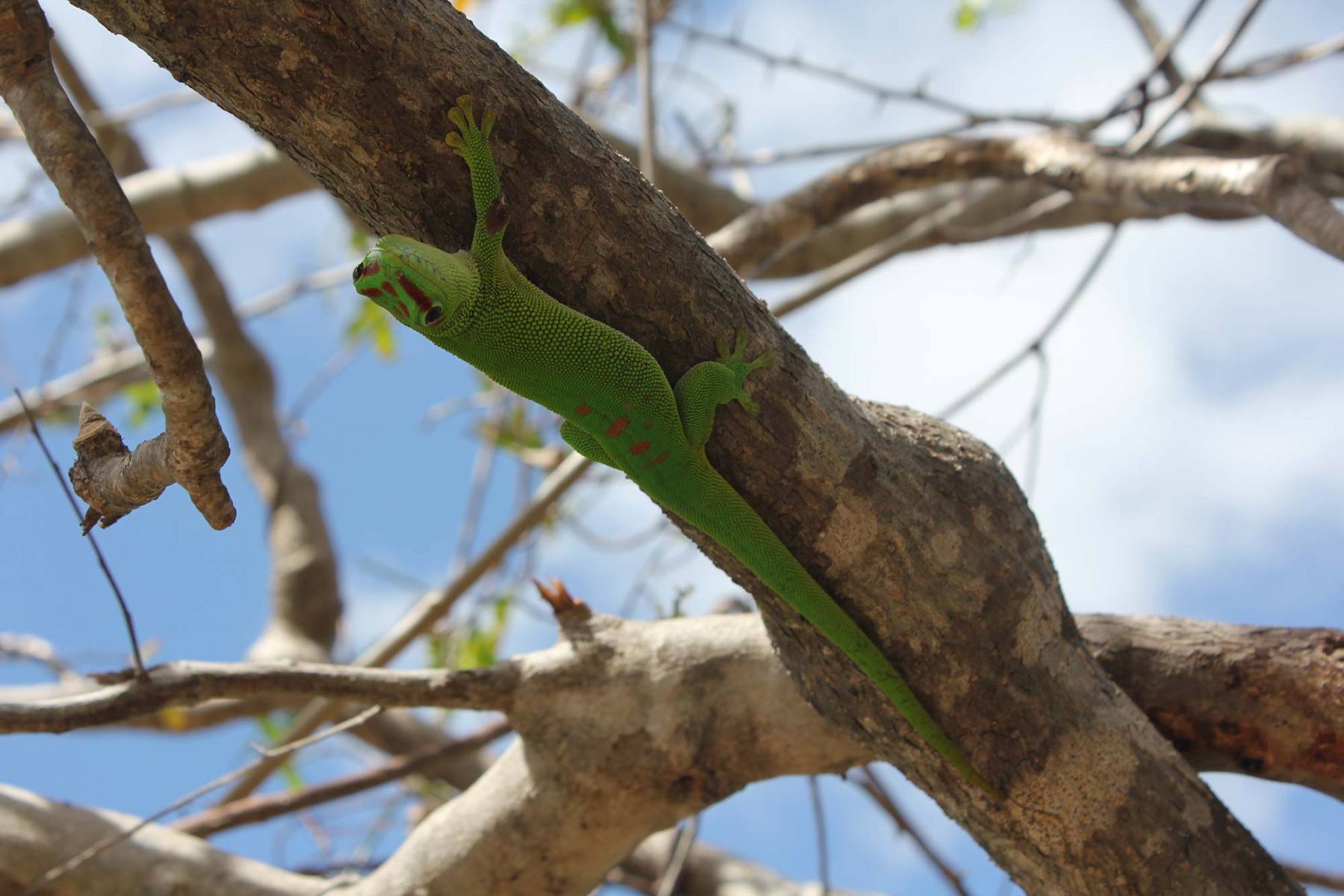 Réserve de la Montagne des Français