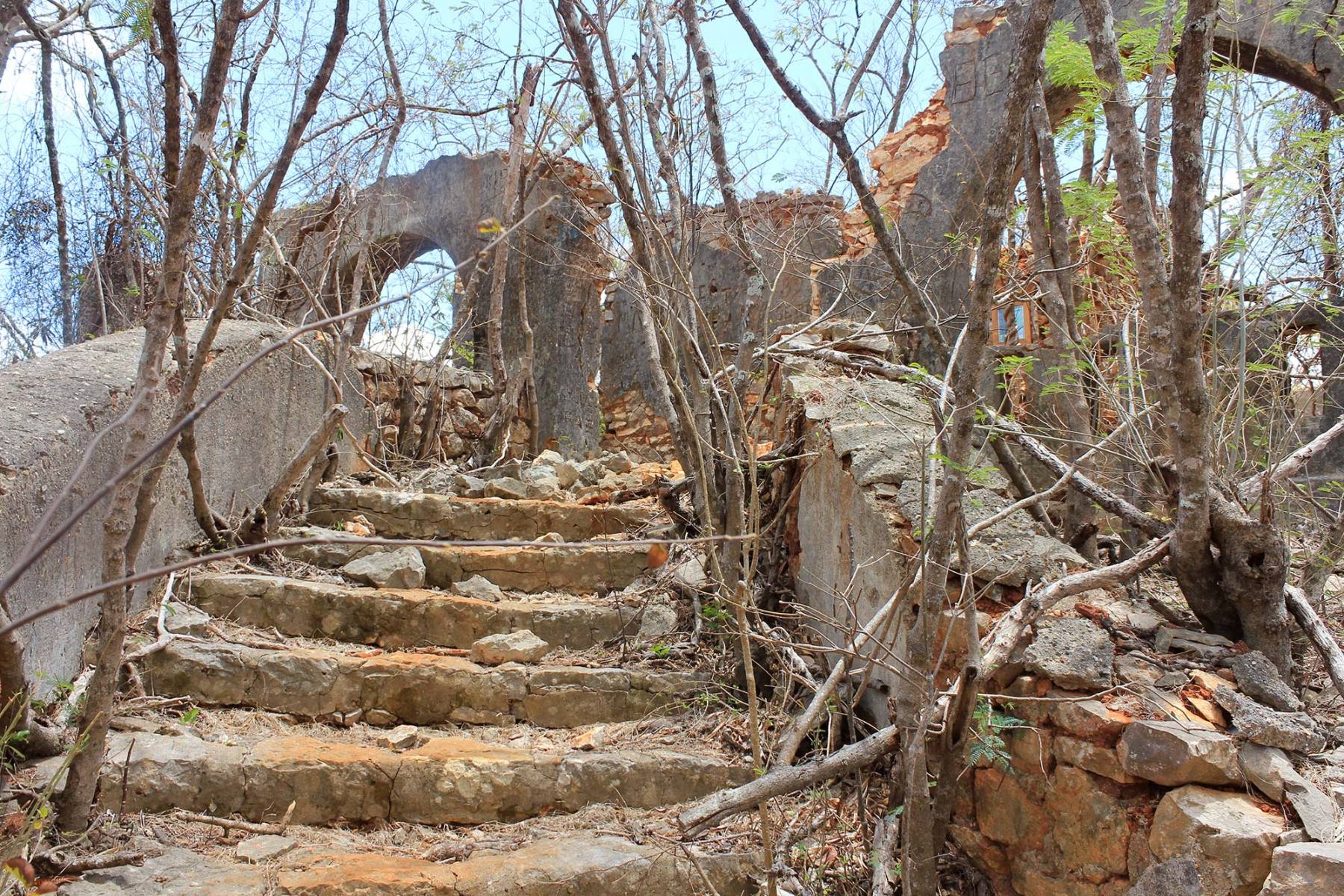 Ruines-du-fort - Réserve de la Montagne des Français