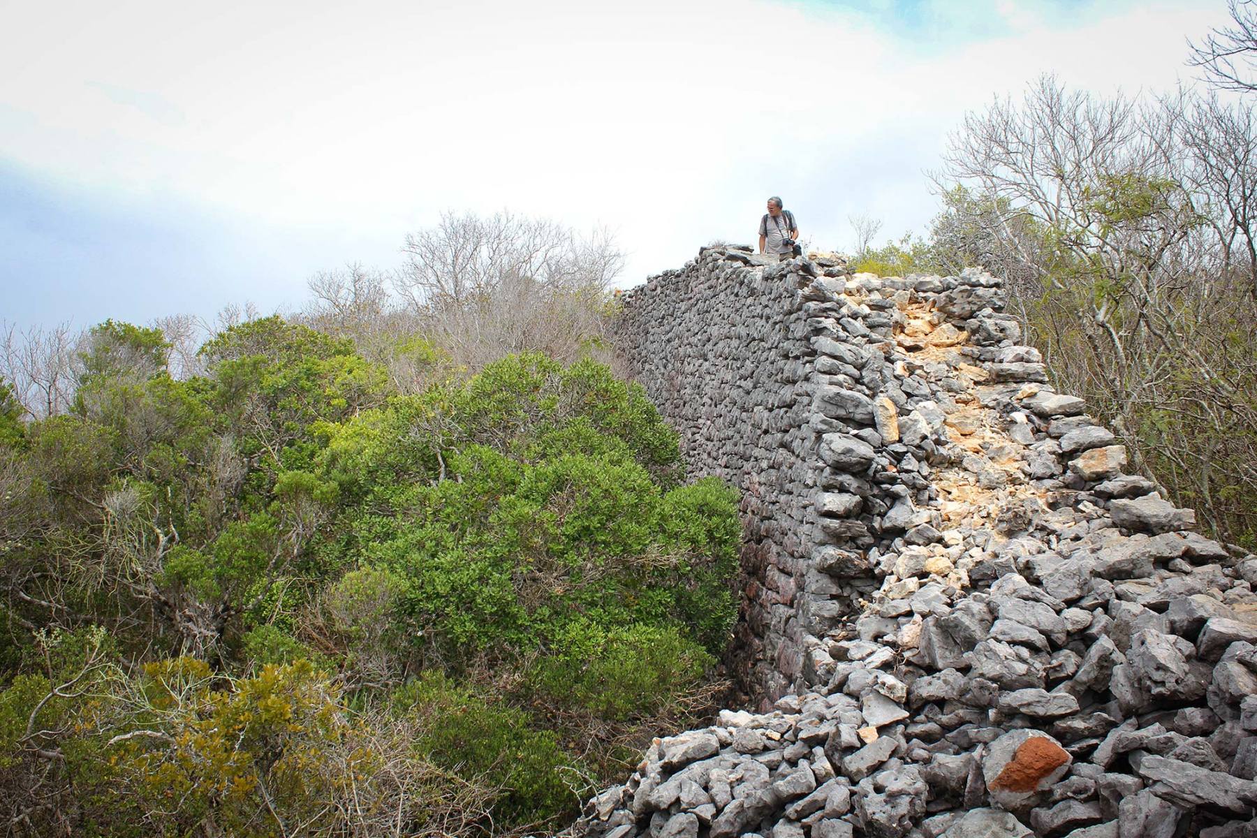 Ruines-du-fort - Réserve de la Montagne des Français