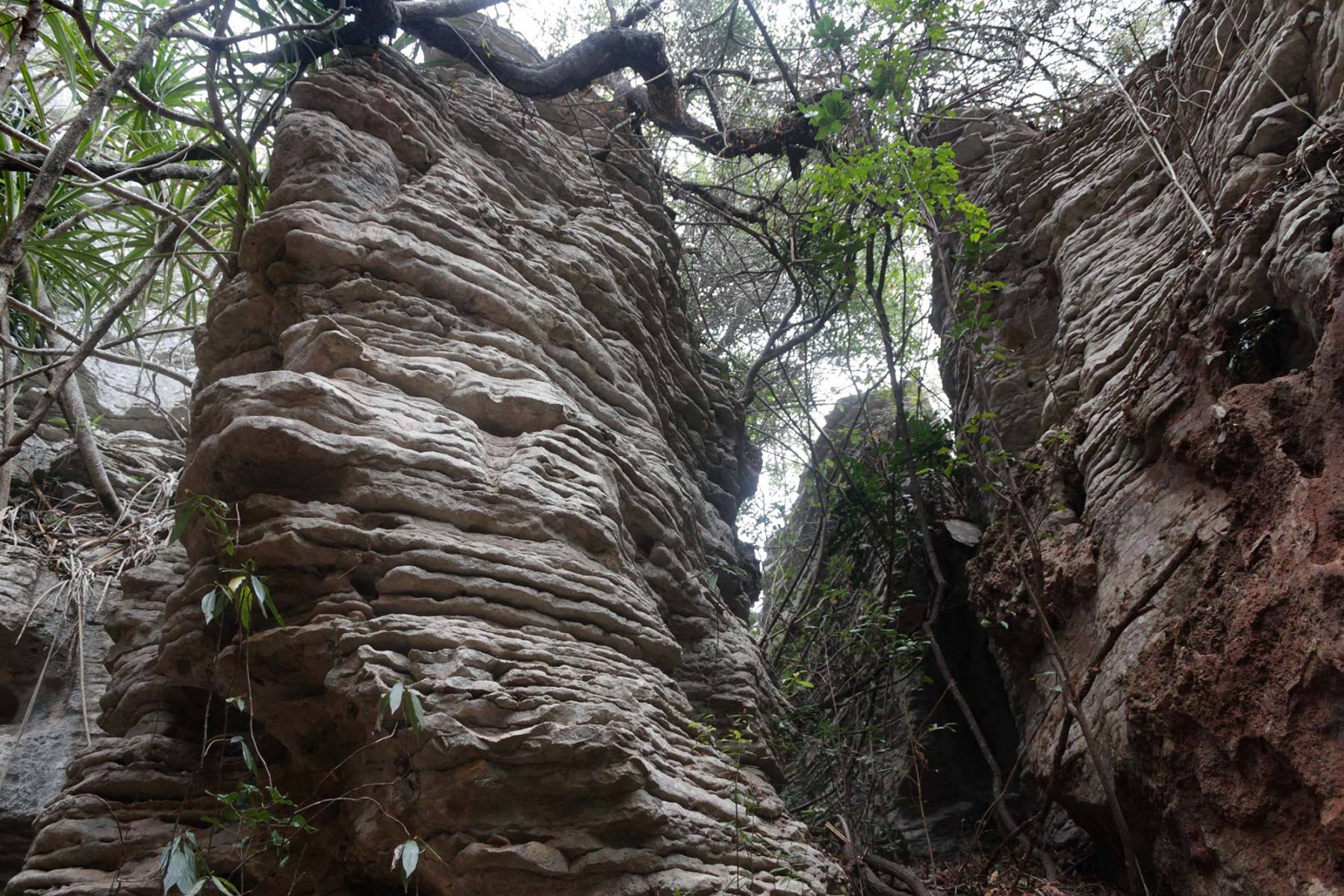 Tunnel fort - Réserve de la Montagne des Français