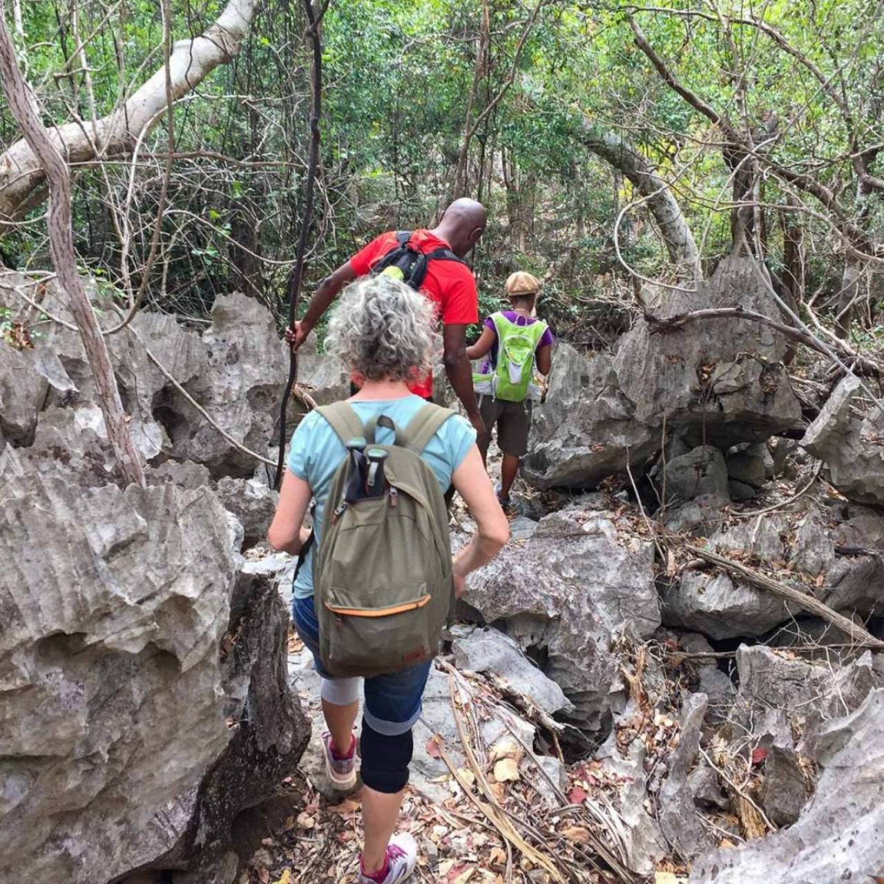 Un itinéraire pensé selon vos envies - Mad' All Excursions Un itinéraire pensé selon vos envies - Mad' All Excursions