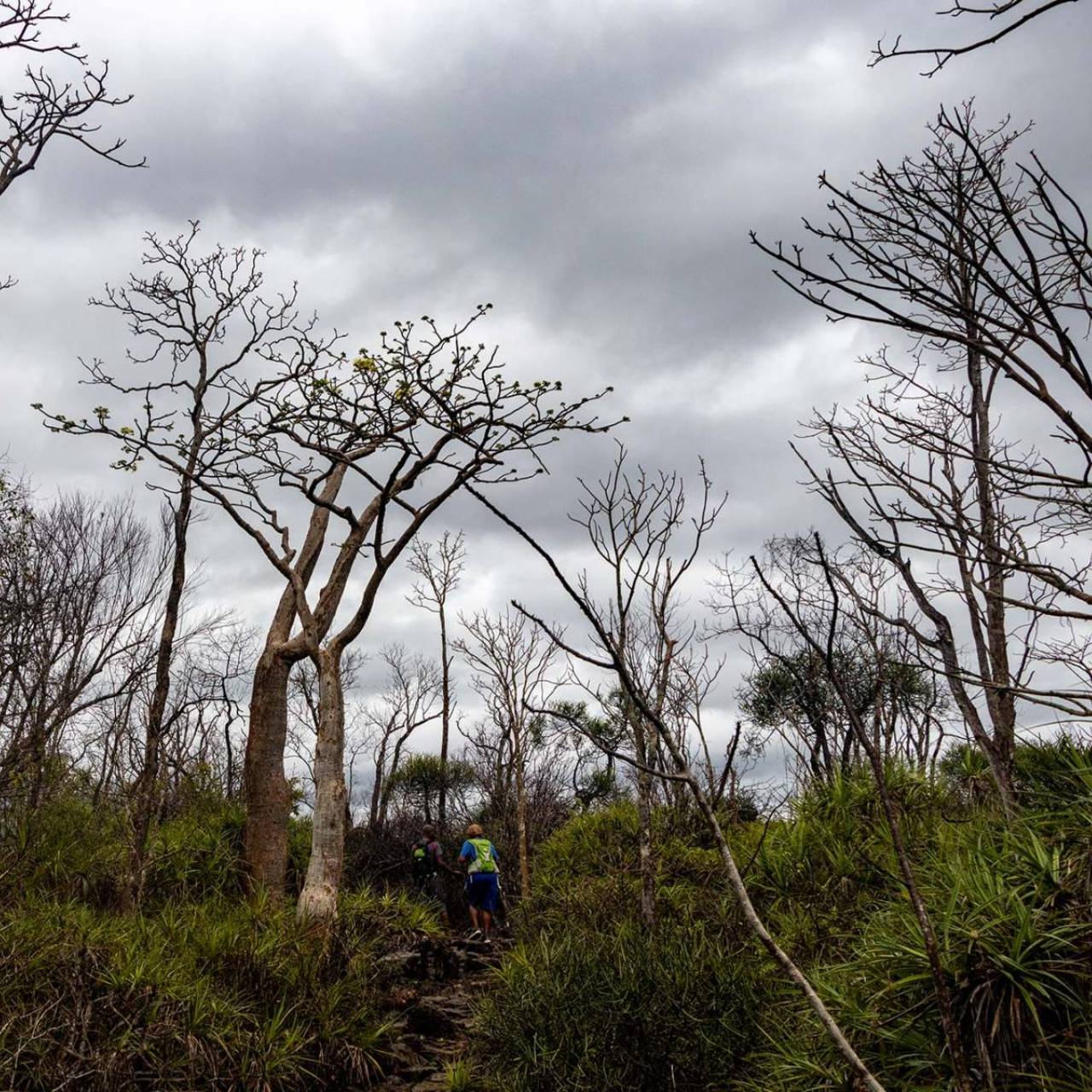 Vivre l’aventure au cœur de Madagascar - Mad' All Excursions Vivre l’aventure au cœur de Madagascar - Mad' All Excursions
