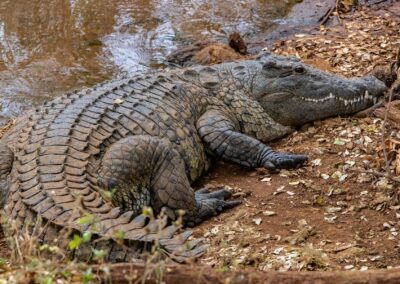 Anivorano - Lac Sacre Antagnavo