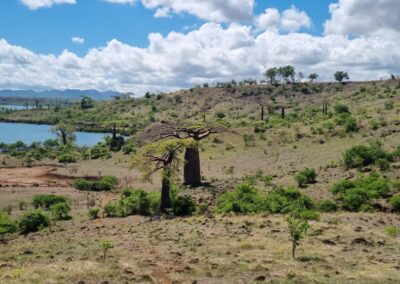 Circuit Baobab à Cap Diego