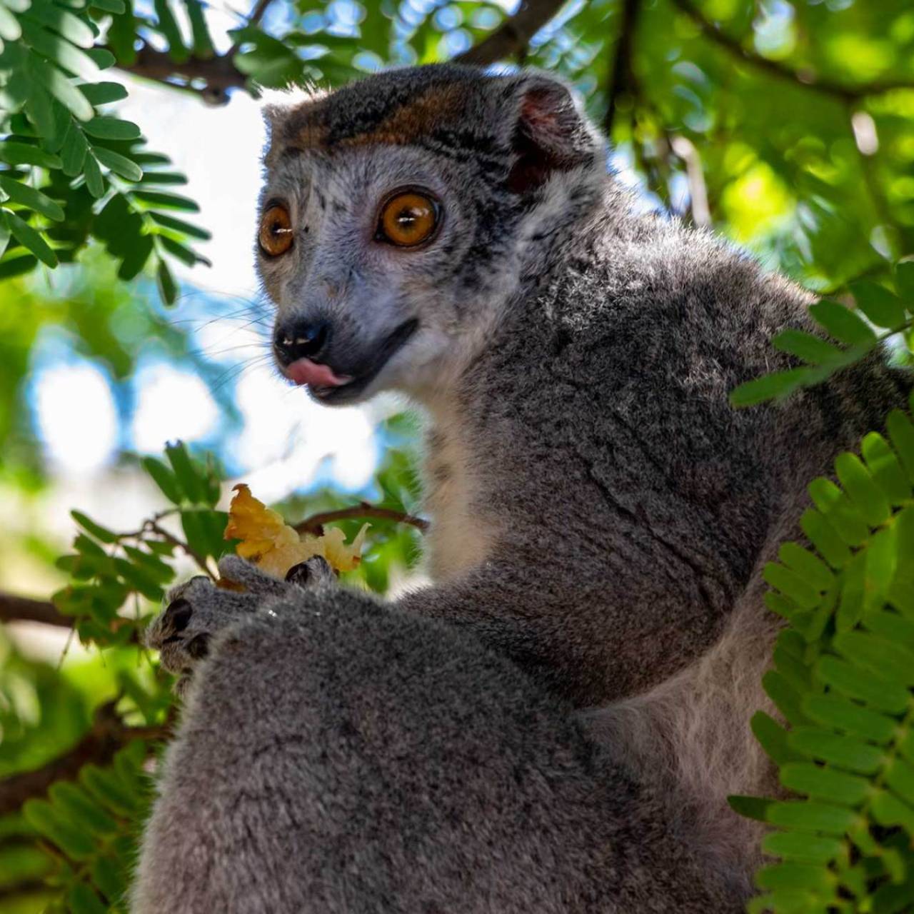 Explorer Madagascar autrement Mad' All Excursions Explorer Madagascar autrement Mad' All Excursions