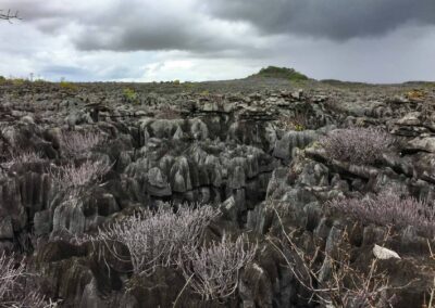 Parc National de l’Ankarana