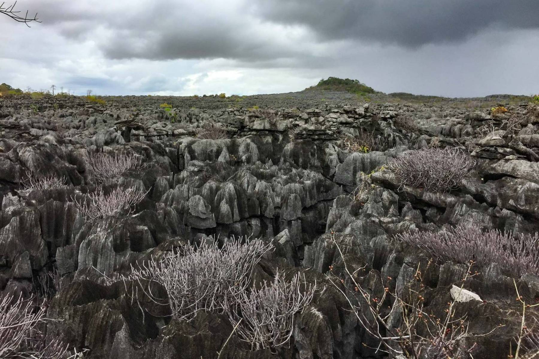 Parc National de l’Ankarana