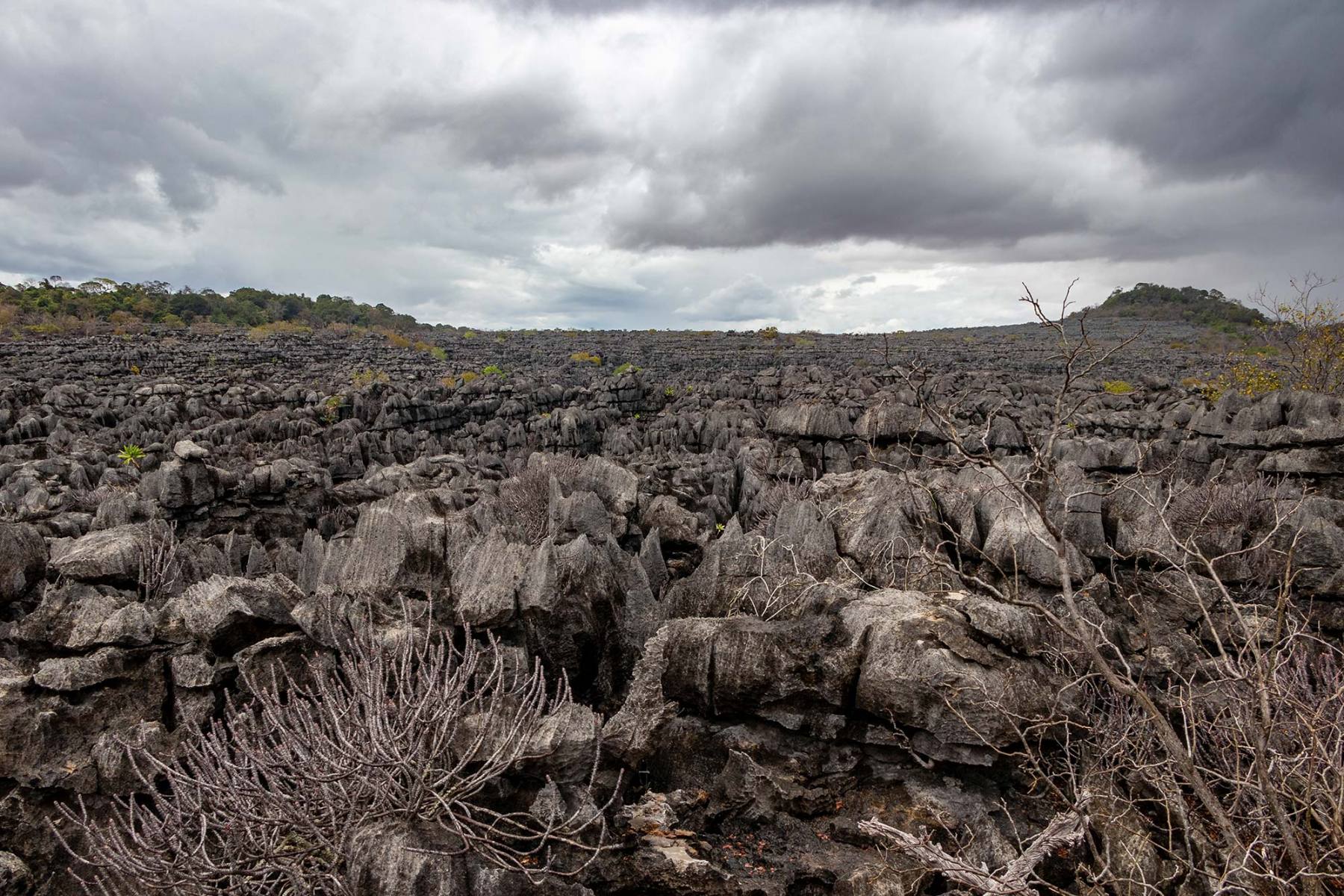 Parc National de l’Ankarana