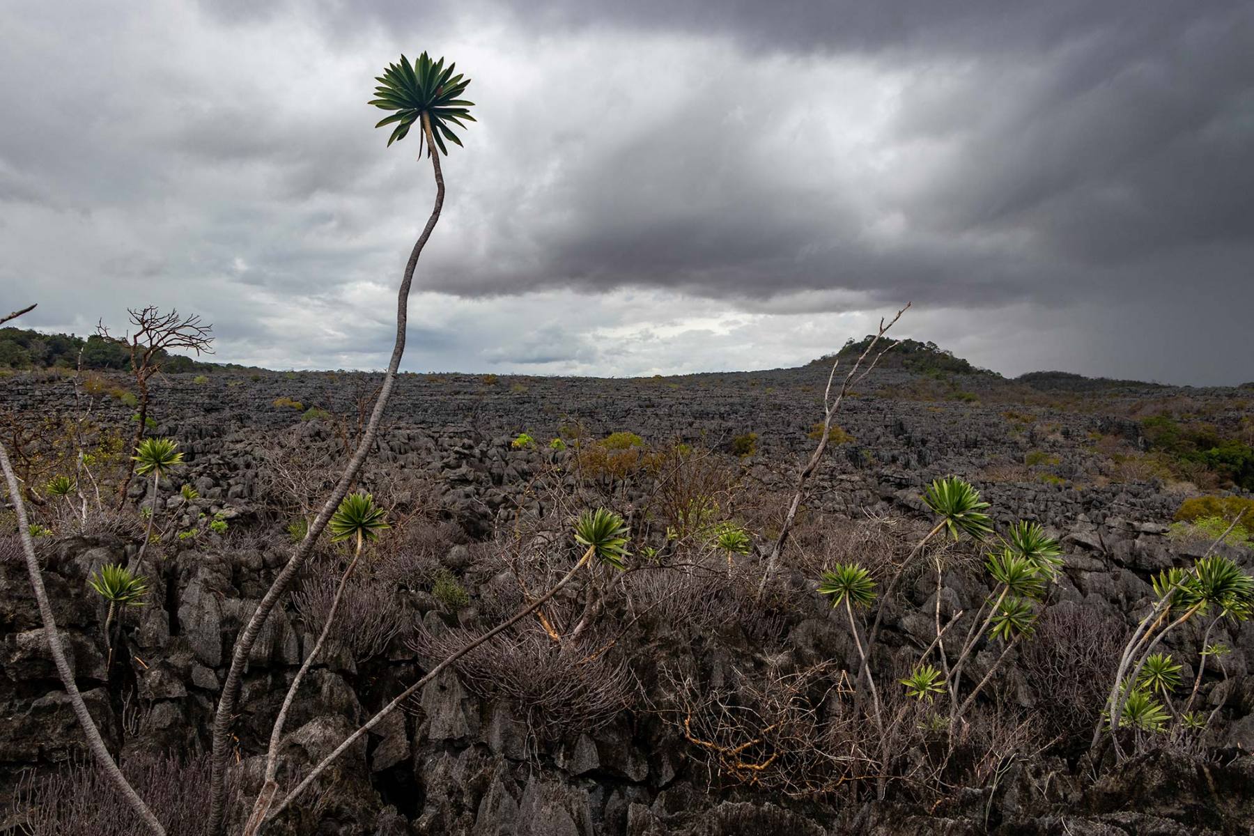 Parc National de l’Ankarana