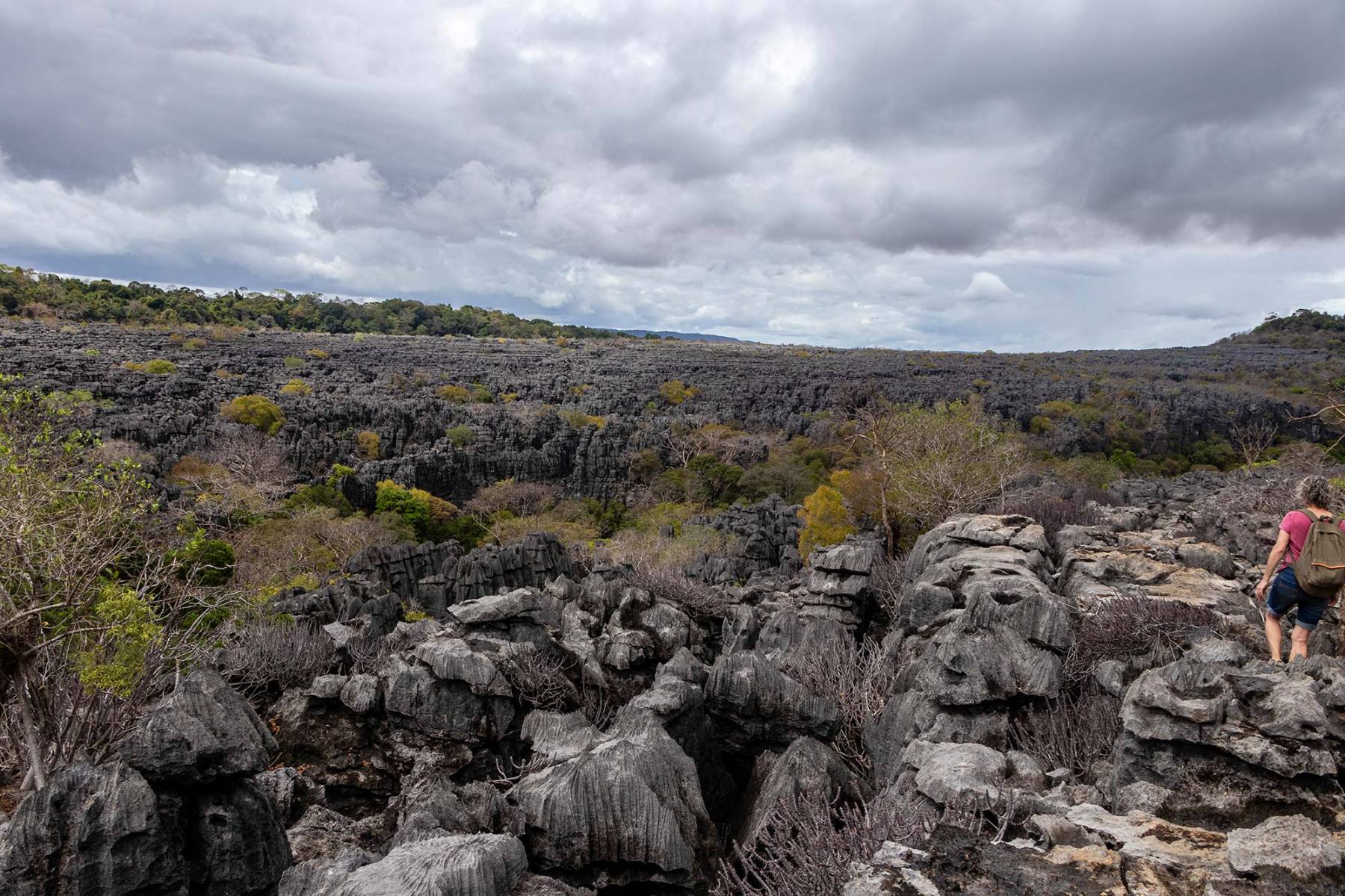 Parc National de l’Ankarana
