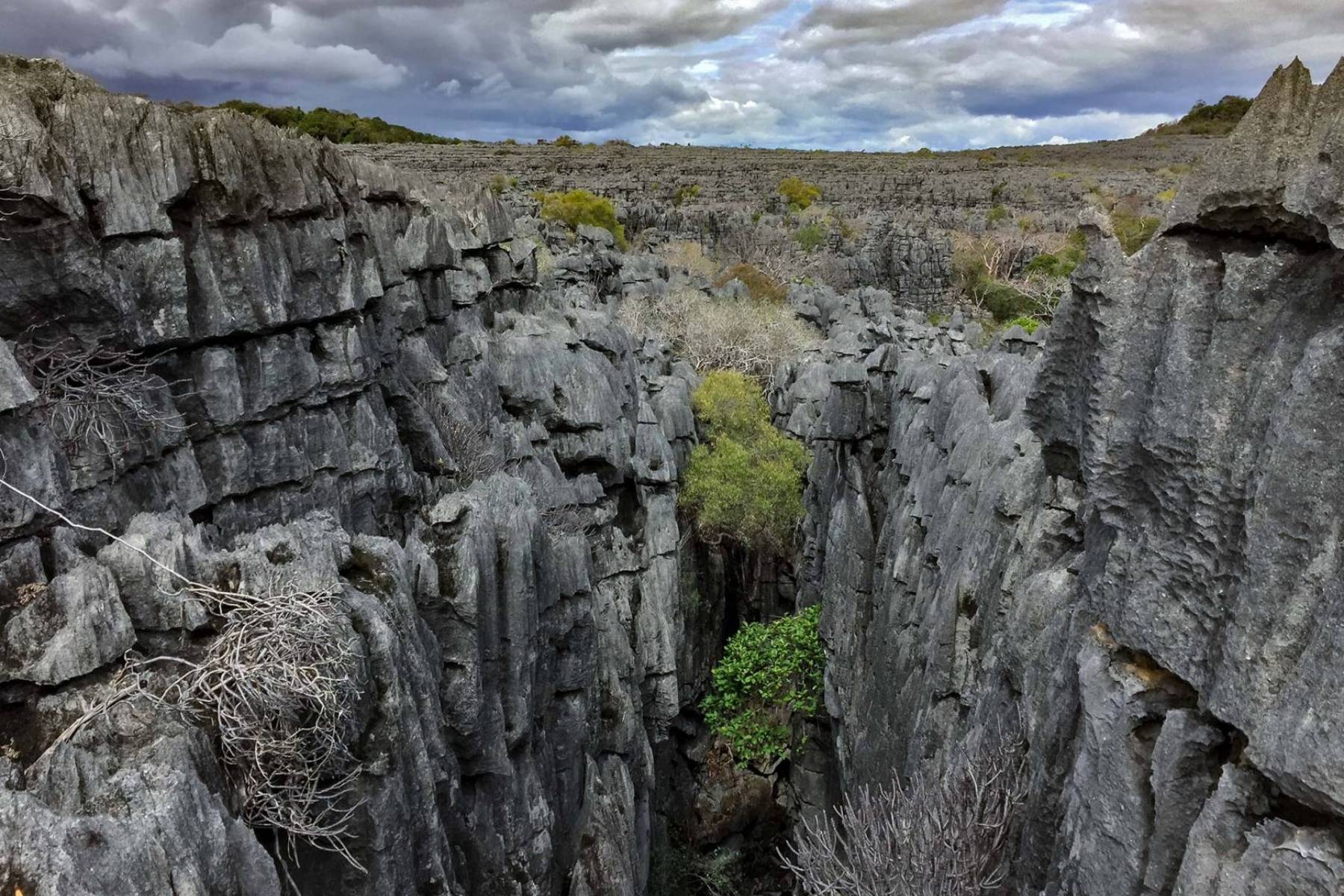 Parc National de l’Ankarana