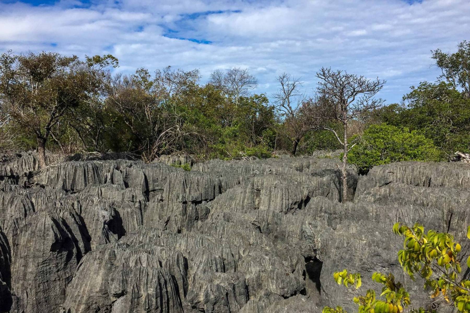 Parc National de l’Ankarana