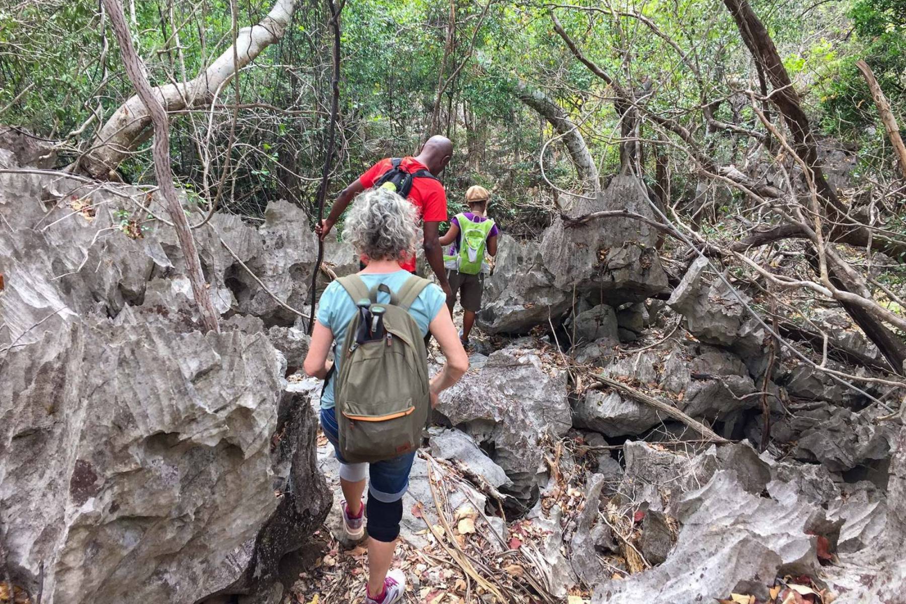 Parc National de l’Ankarana