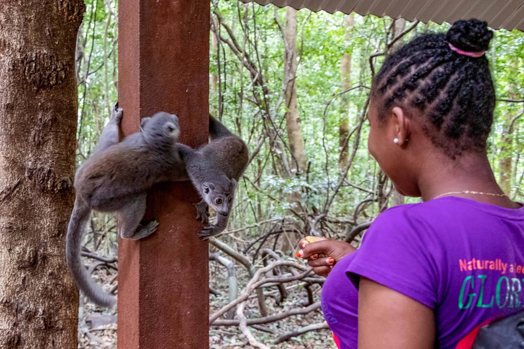 Parc National de l’Ankarana