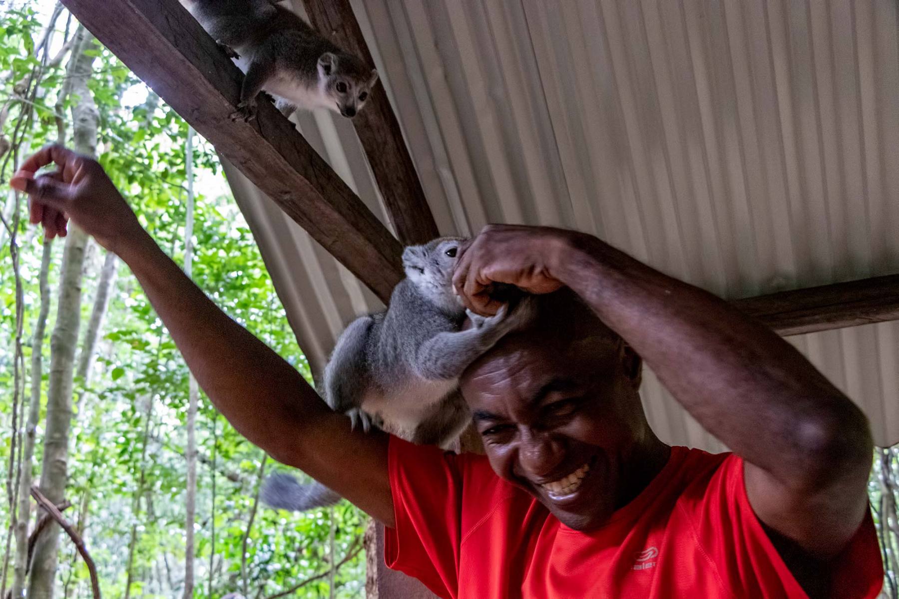 Parc National de l’Ankarana