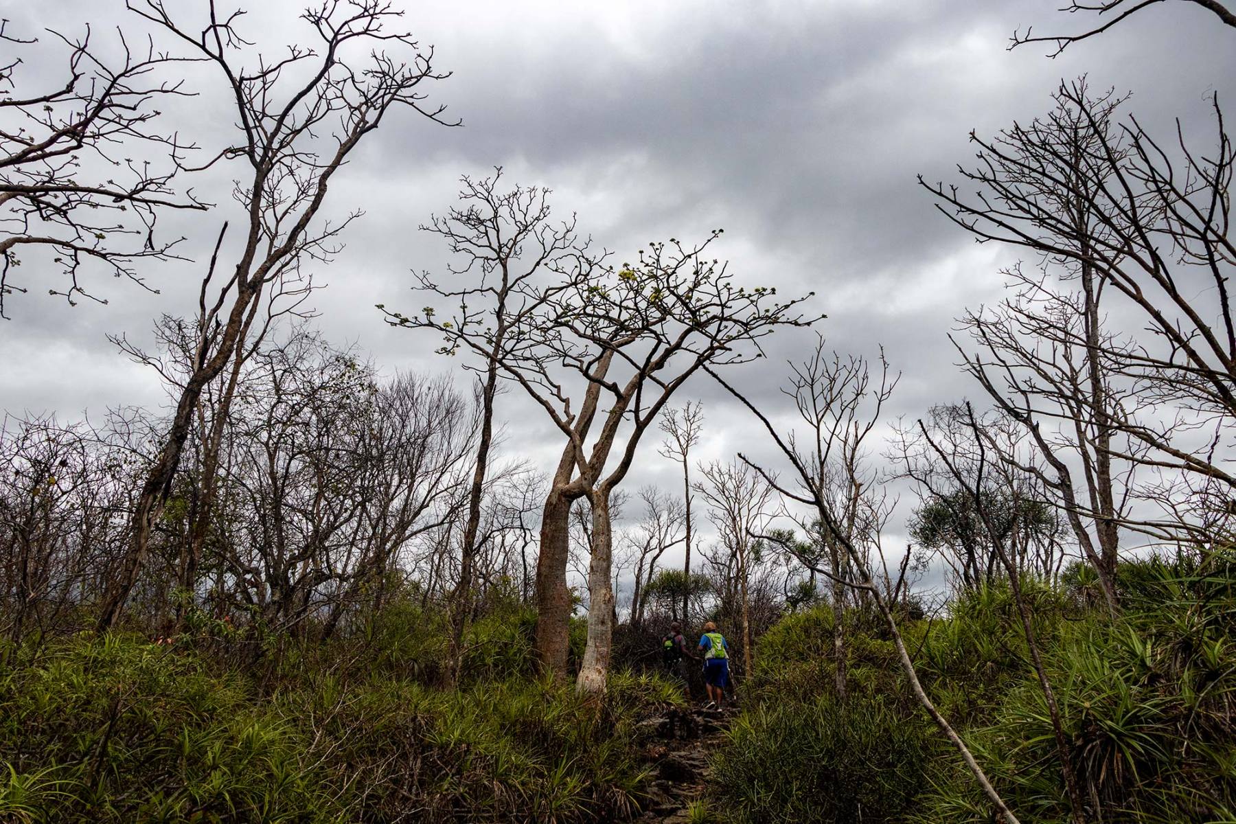 Parc National de l’Ankarana