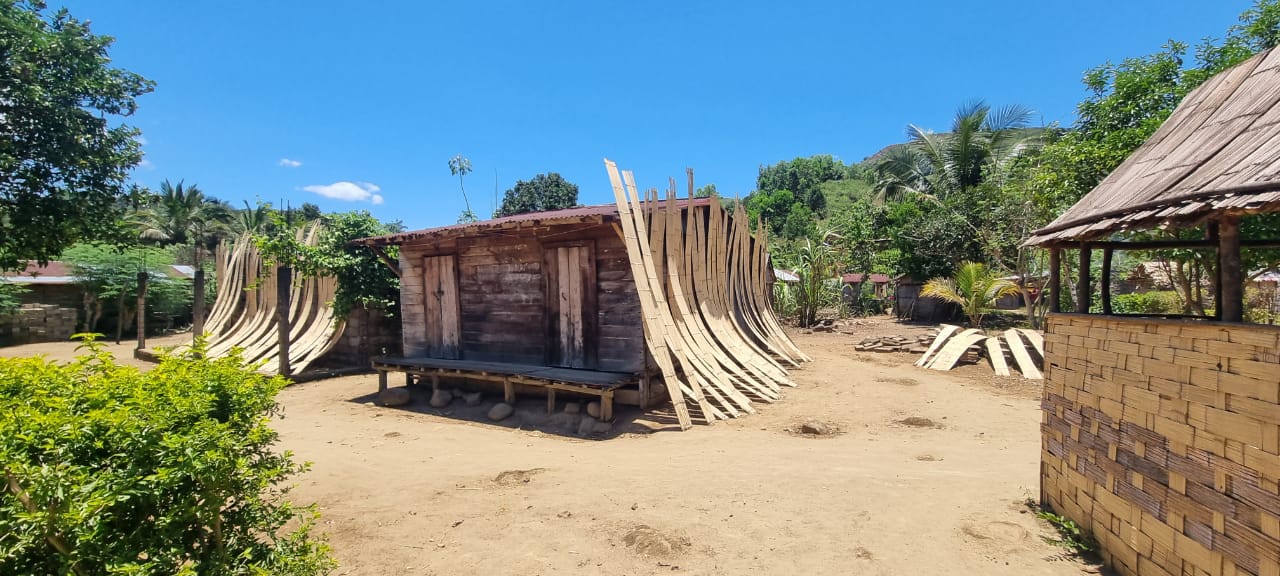 Park Marojejy - Circuit Nord-Est de Madagascar