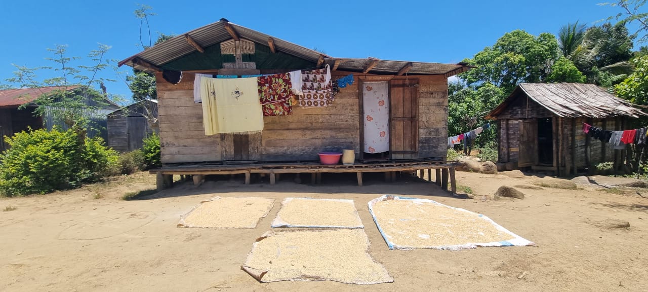 Park Marojejy - Circuit Nord-Est de Madagascar