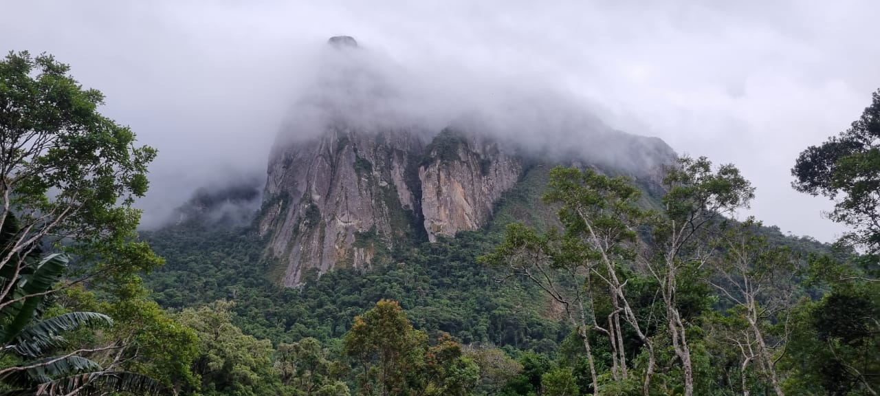 Park Marojejy - Circuit Nord-Est de Madagascar