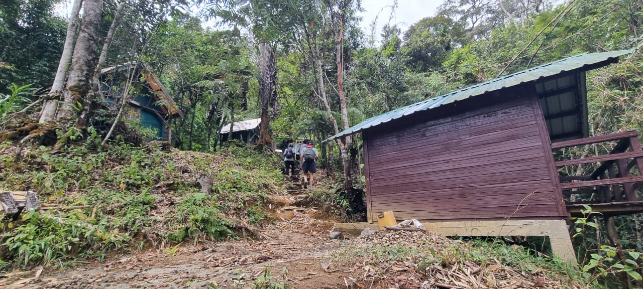 Park Marojejy - Circuit Nord-Est de Madagascar