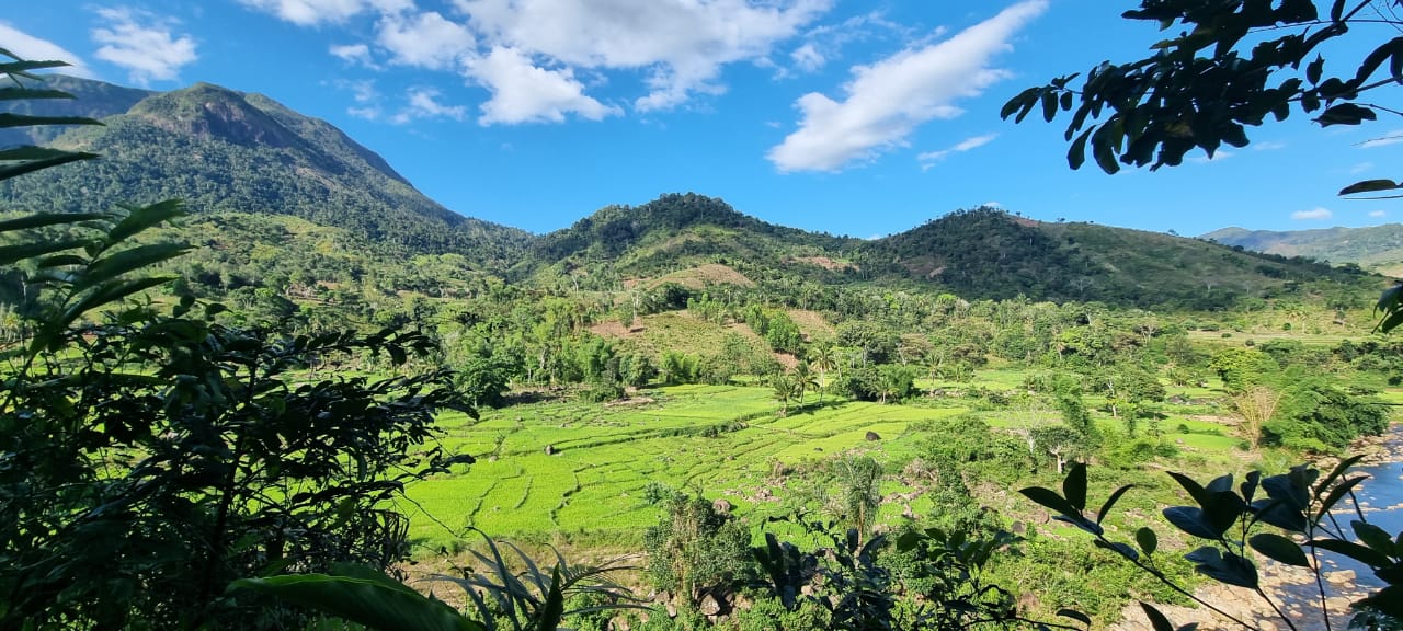 Park Marojejy - Circuit Nord-Est de Madagascar