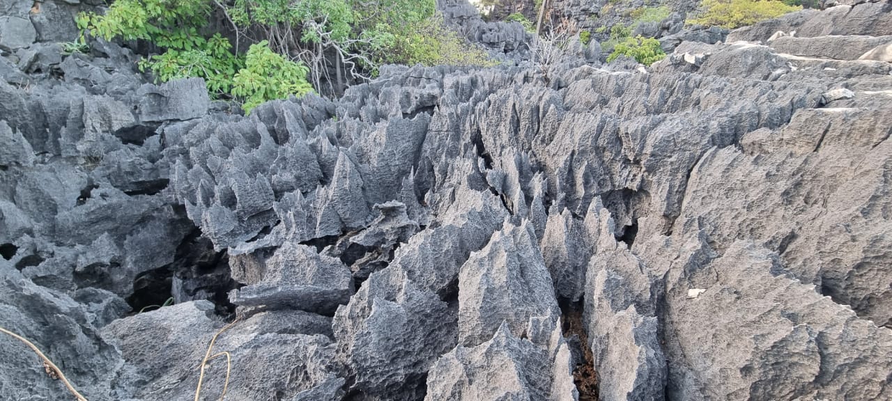 Réserve de Nosy Hara à Madagascar
