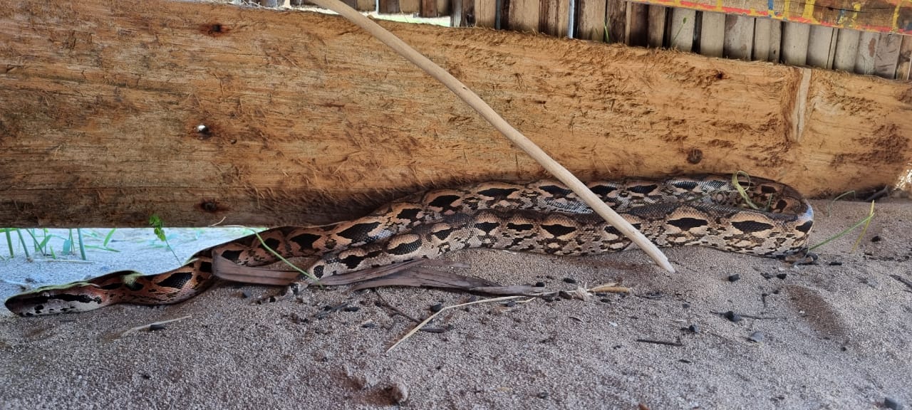 Réserve de Nosy Hara à Madagascar
