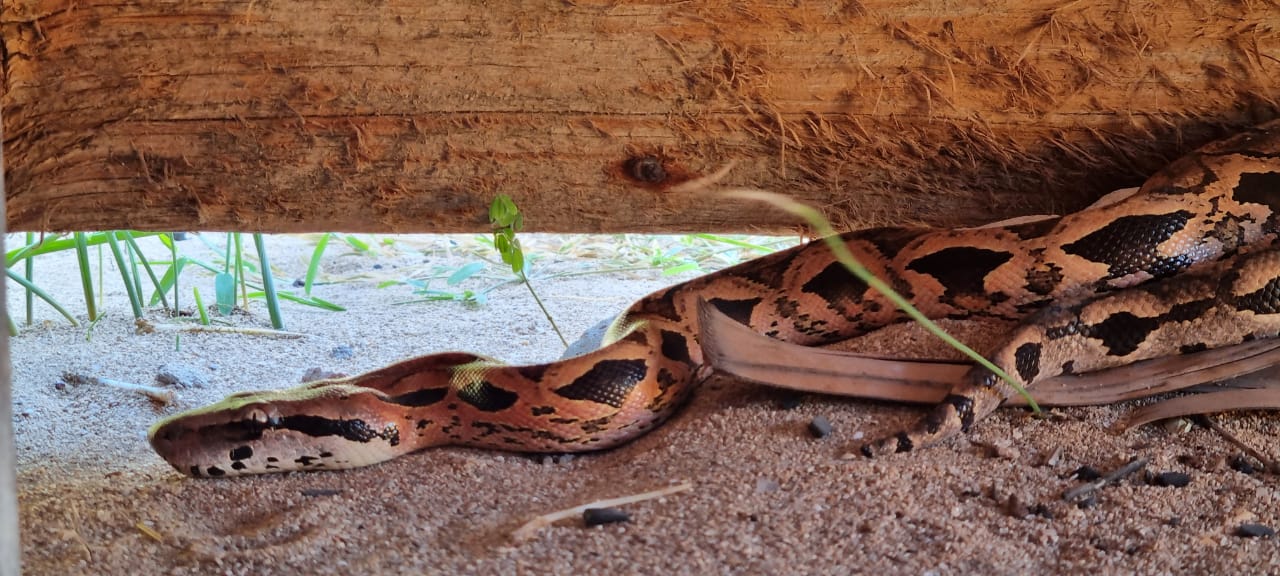 Réserve de Nosy Hara à Madagascar