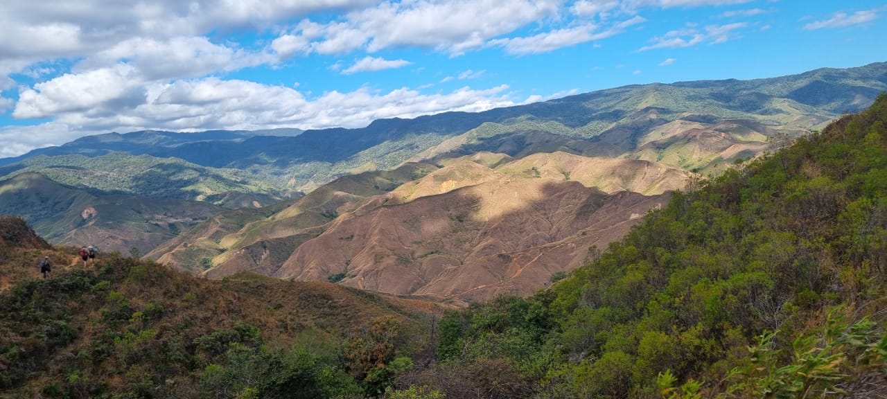 Trekking Au Sommet Tsaratanana