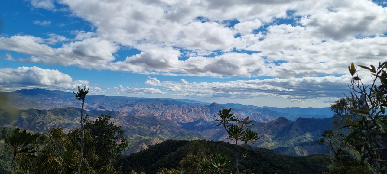 Trekking Au Sommet Tsaratanana