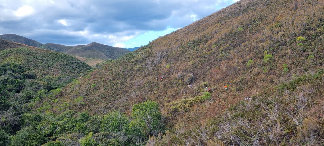 Trekking Au Sommet Tsaratanana