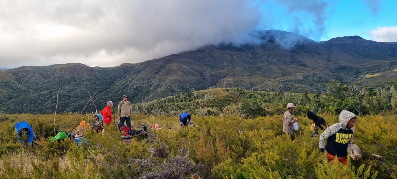 Trekking Au Sommet Tsaratanana
