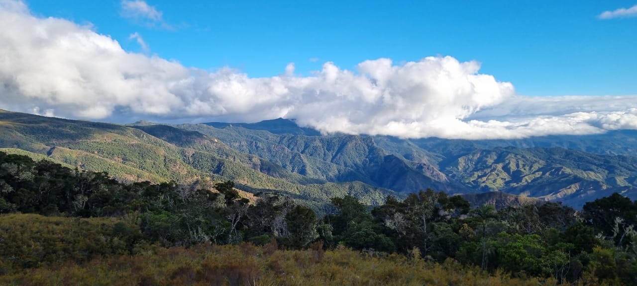 Trekking Au Sommet Tsaratanana