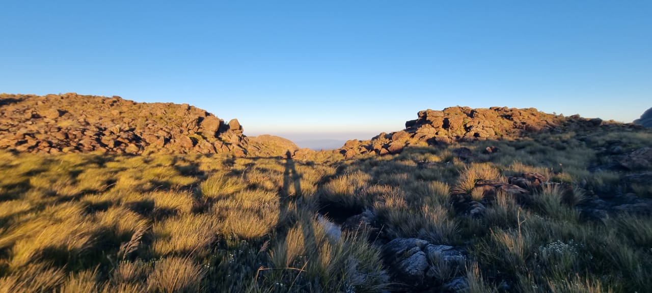 Trekking Au Sommet Tsaratanana