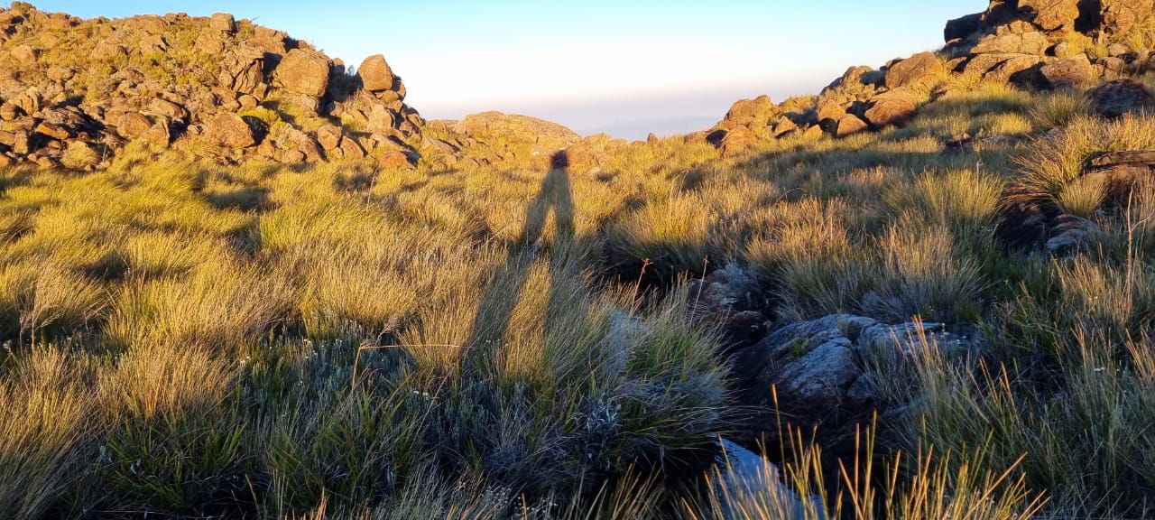 Trekking Au Sommet Tsaratanana