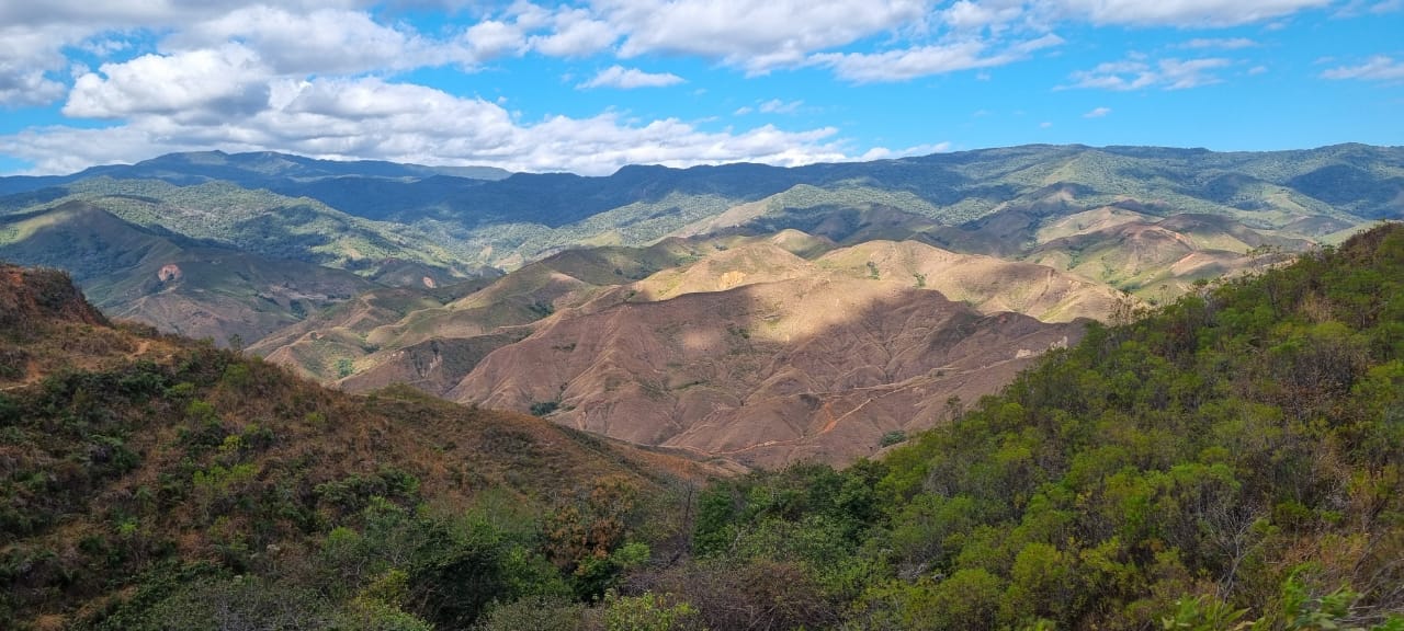 Trekking Au Sommet Tsaratanana
